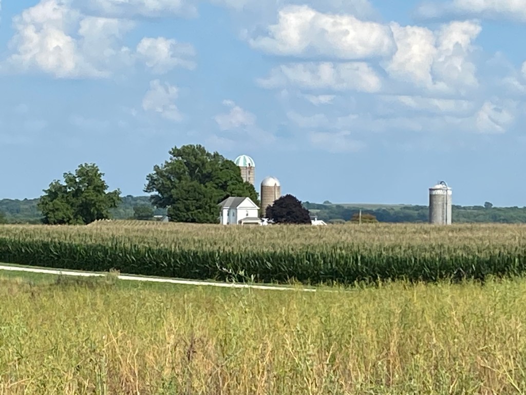 Hegeman Farm Landscape