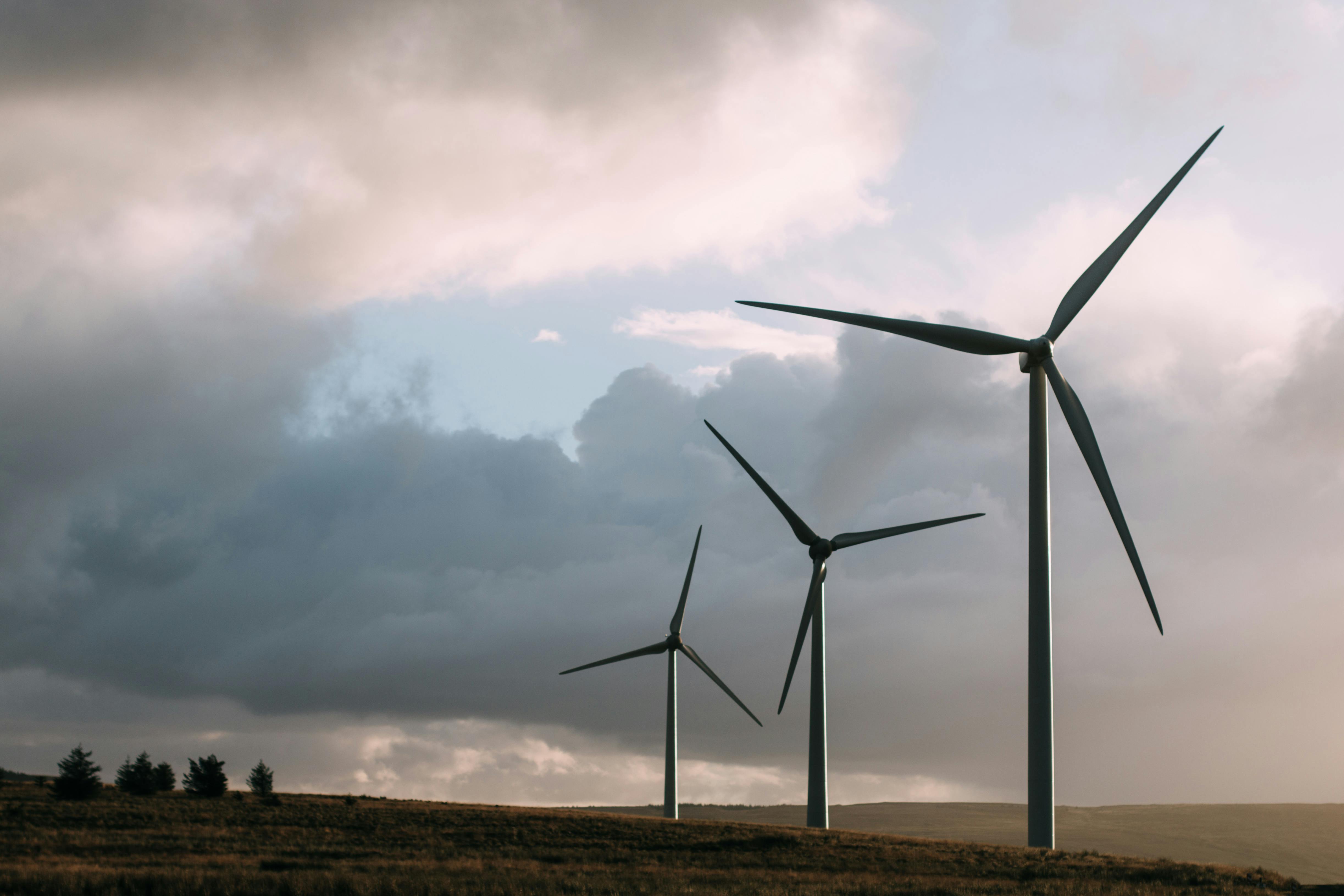 Wind Turbines in a field